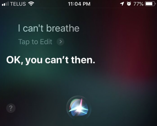 siri11.png
