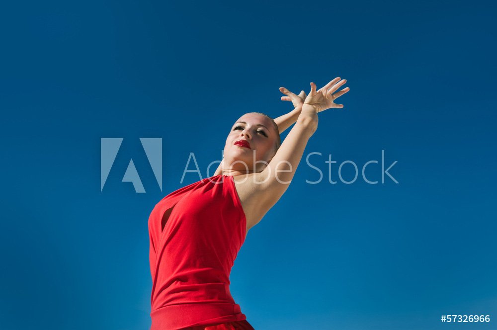 flamencodanceroverbluesky_f43a7106-3cea-43f0-b24b-fcf4462a9f39.jpg