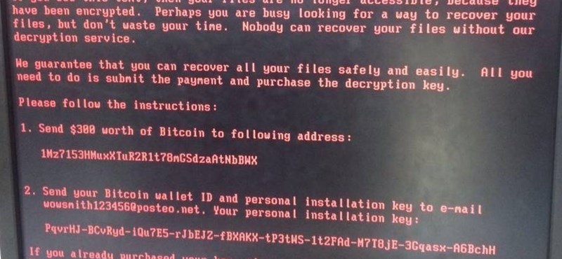 petya cikk főkép.jpg